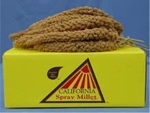 Golden Farm Spray Millet Bird Treats - 25 lb Box