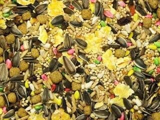 Higgins Sunburst Gourmet Diet Guinea Pig Pellets Small Animal Food - 50 Lbs