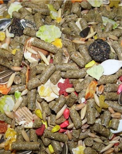 Higgins Sunburst Gourmet Diet Guinea Pig Small Animal Food - 3 Lbs