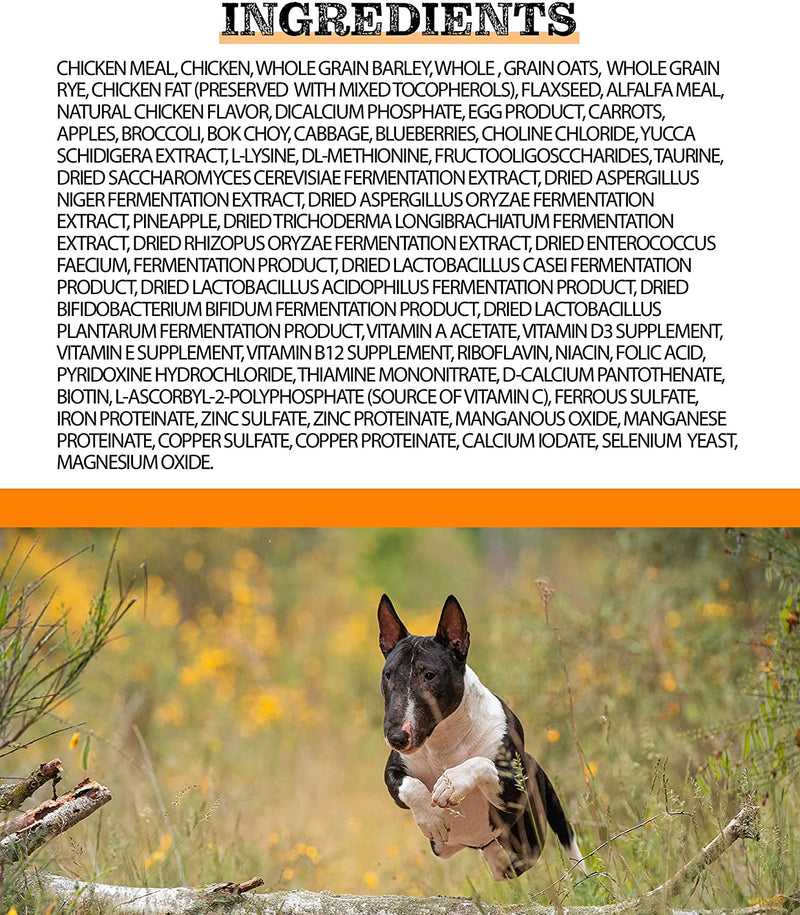 Horizon Pulsar Whole Grain Chicken Dry Dog Food 25 lb Bag Pet Life