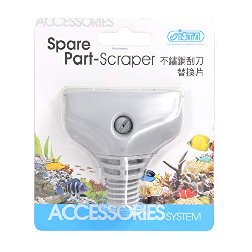 Ista Short Scraper Blade - Pack of 6