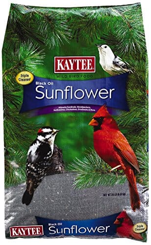 Kaytee Black Oil Sunflower Food - 20 lb
