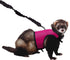 Kaytee Comfort Harness & Stretchy Leash Assorted - Medium