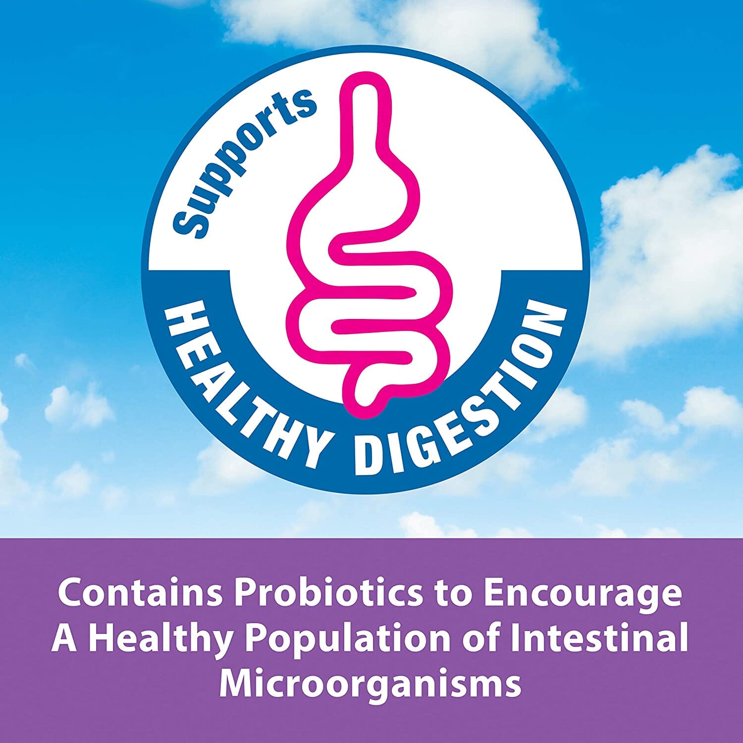 Kaytee Exact Handfeeding - Baby Bird - 18 Oz