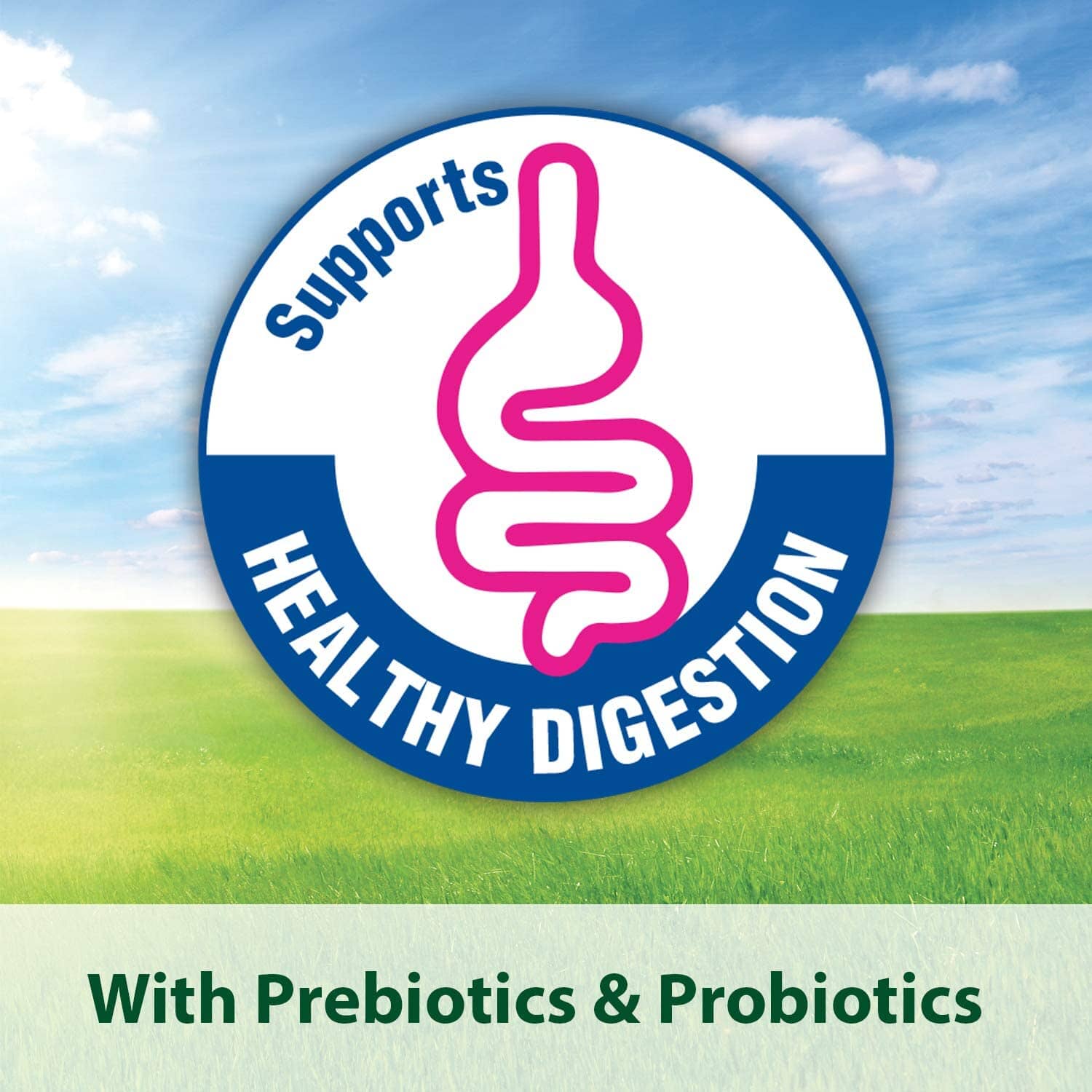 Kaytee Fiesta Cockatiel Food - 25 lb