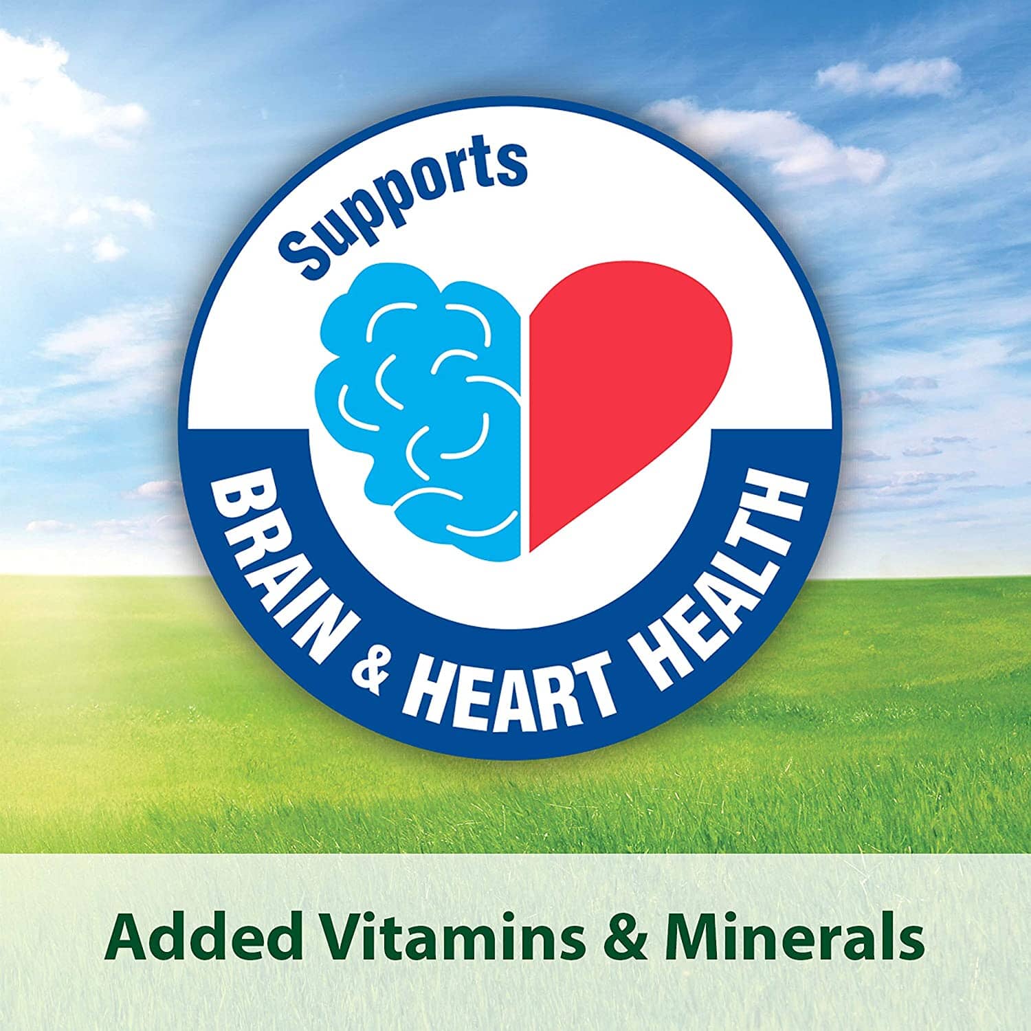 Kaytee Fiesta Cockatiel Food - 25 lb