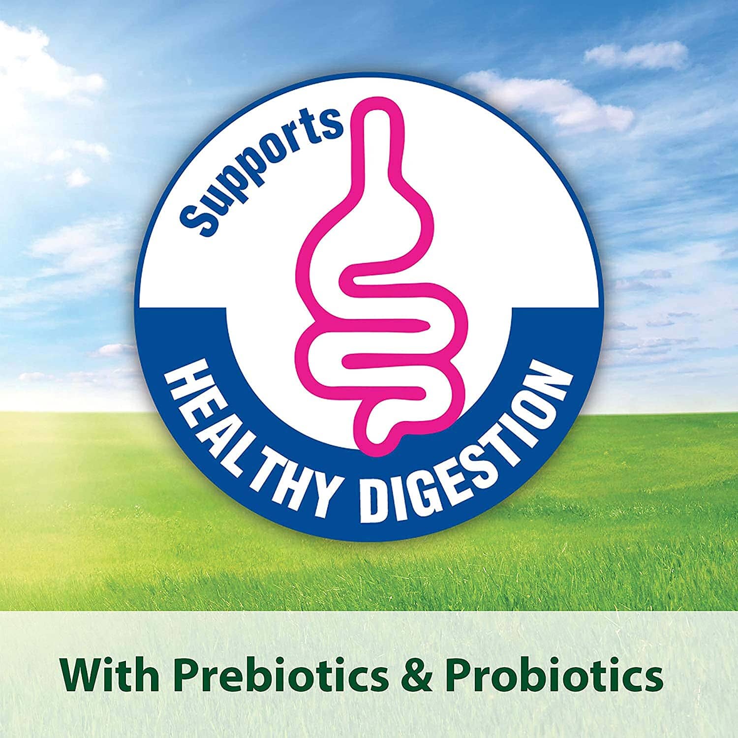 Kaytee Fiesta Cockatiel Food - 4.5 lb