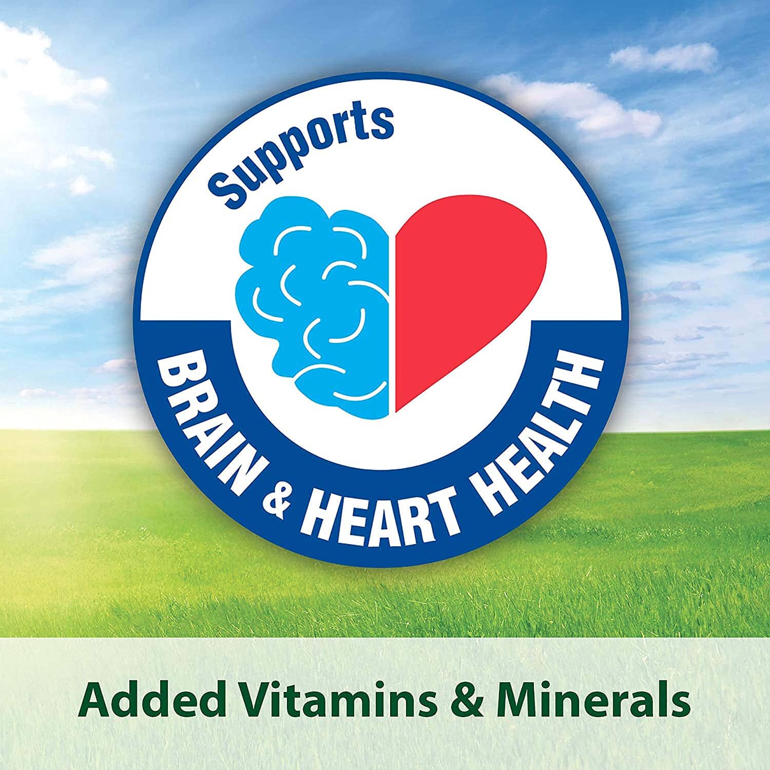 Kaytee Fiesta Cockatiel Food - 4.5 lb