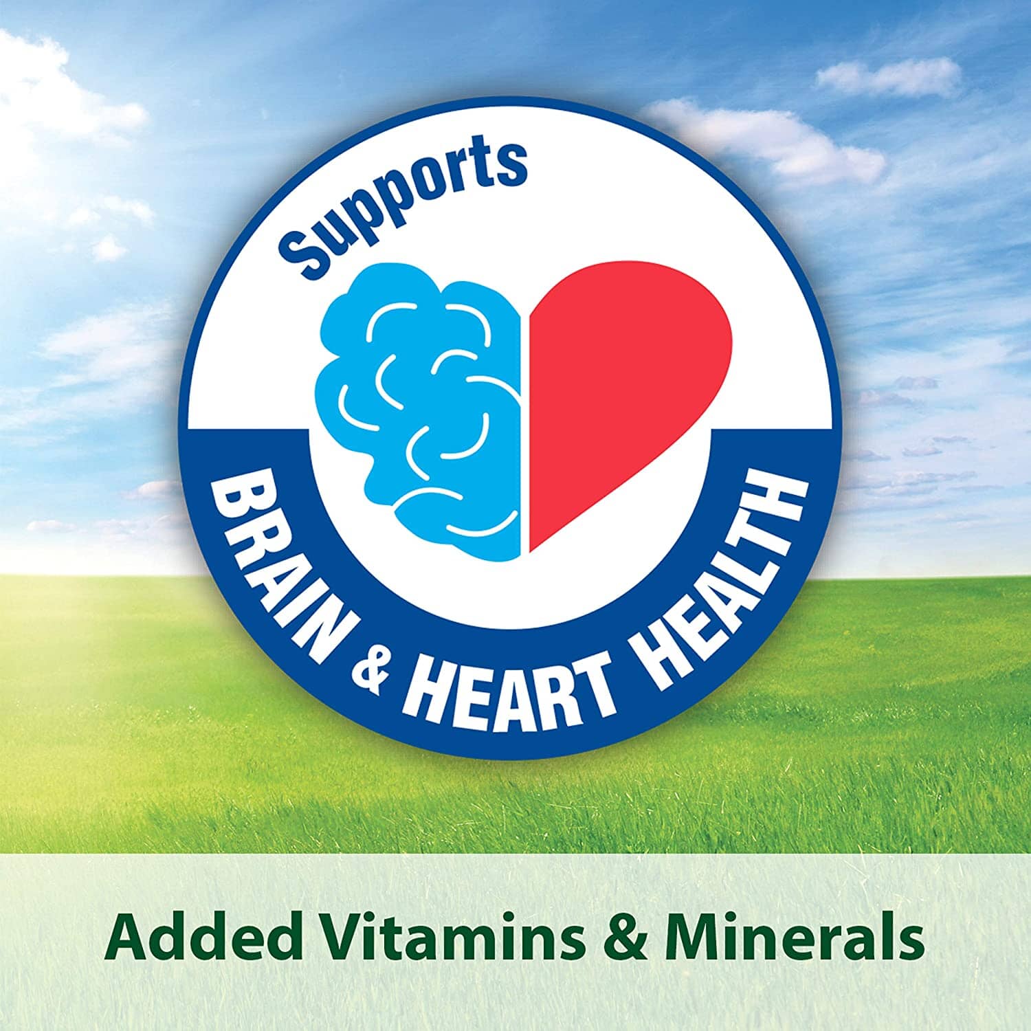 Kaytee Fiesta Conure - 4.5 lb