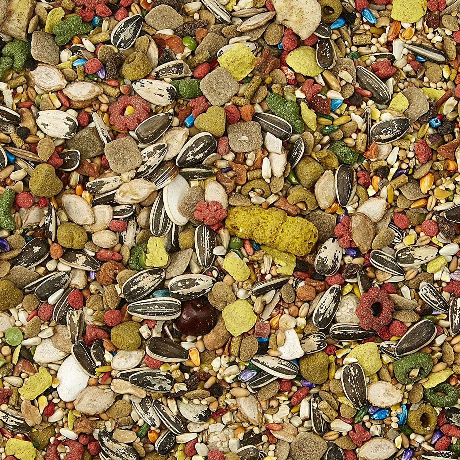 Kaytee Fiesta Conure - 4.5 lb