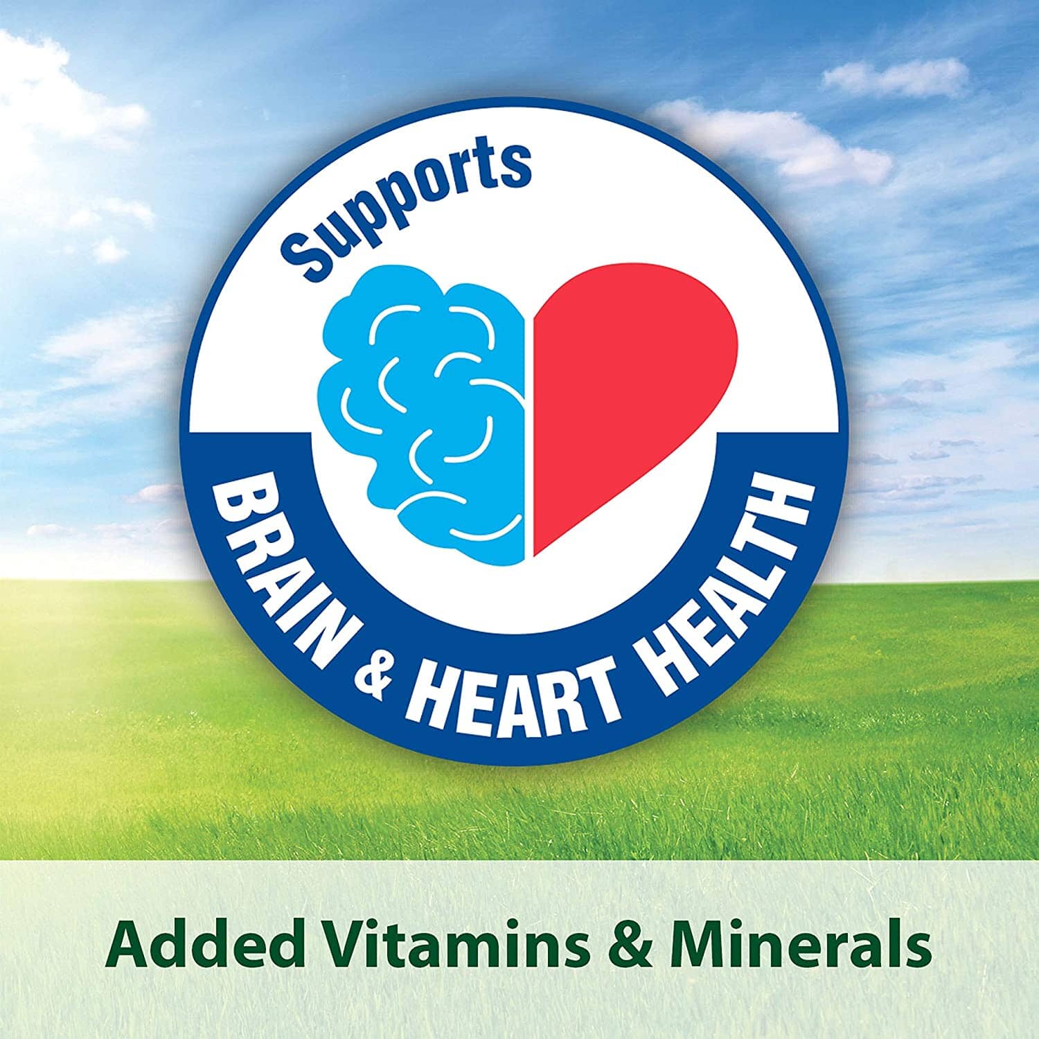 Kaytee Fiesta Parrot Food - 4.5 lb