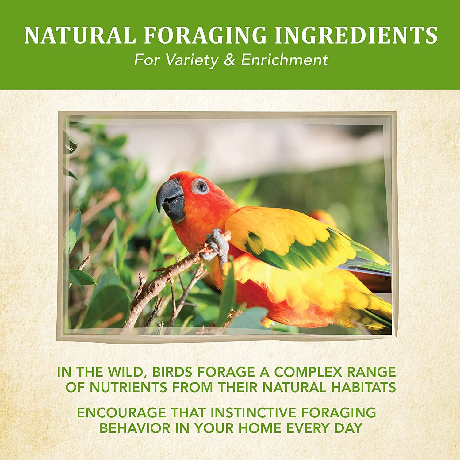 Kaytee Food from the Wild Conure - 2.5 lb