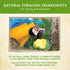 Kaytee Food from the Wild Macaw - 2.5 lb