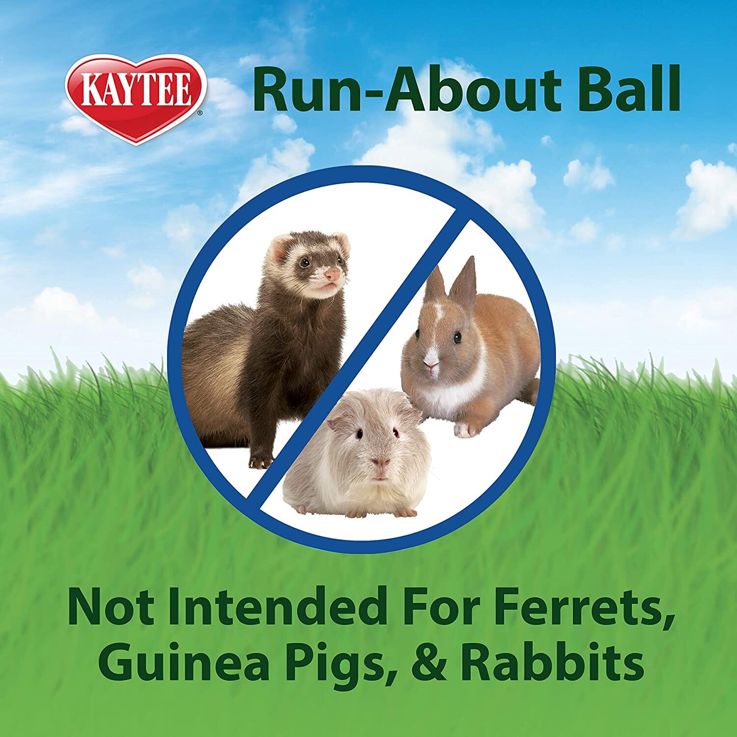 Kaytee Giant Run-About Exercise Ball Clear - 11.5 in