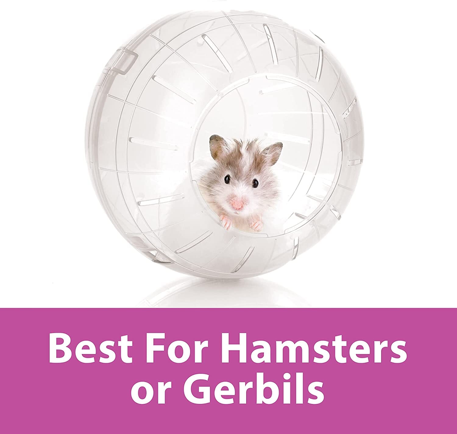 Kaytee Run-About Mini Exercise Ball Clear - 7 in