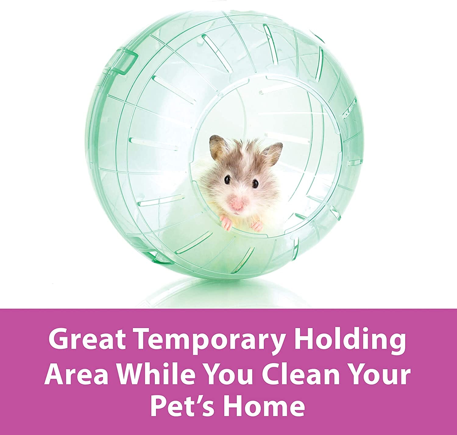 Kaytee Run-About Mini Exercise Ball Clear - 7 in