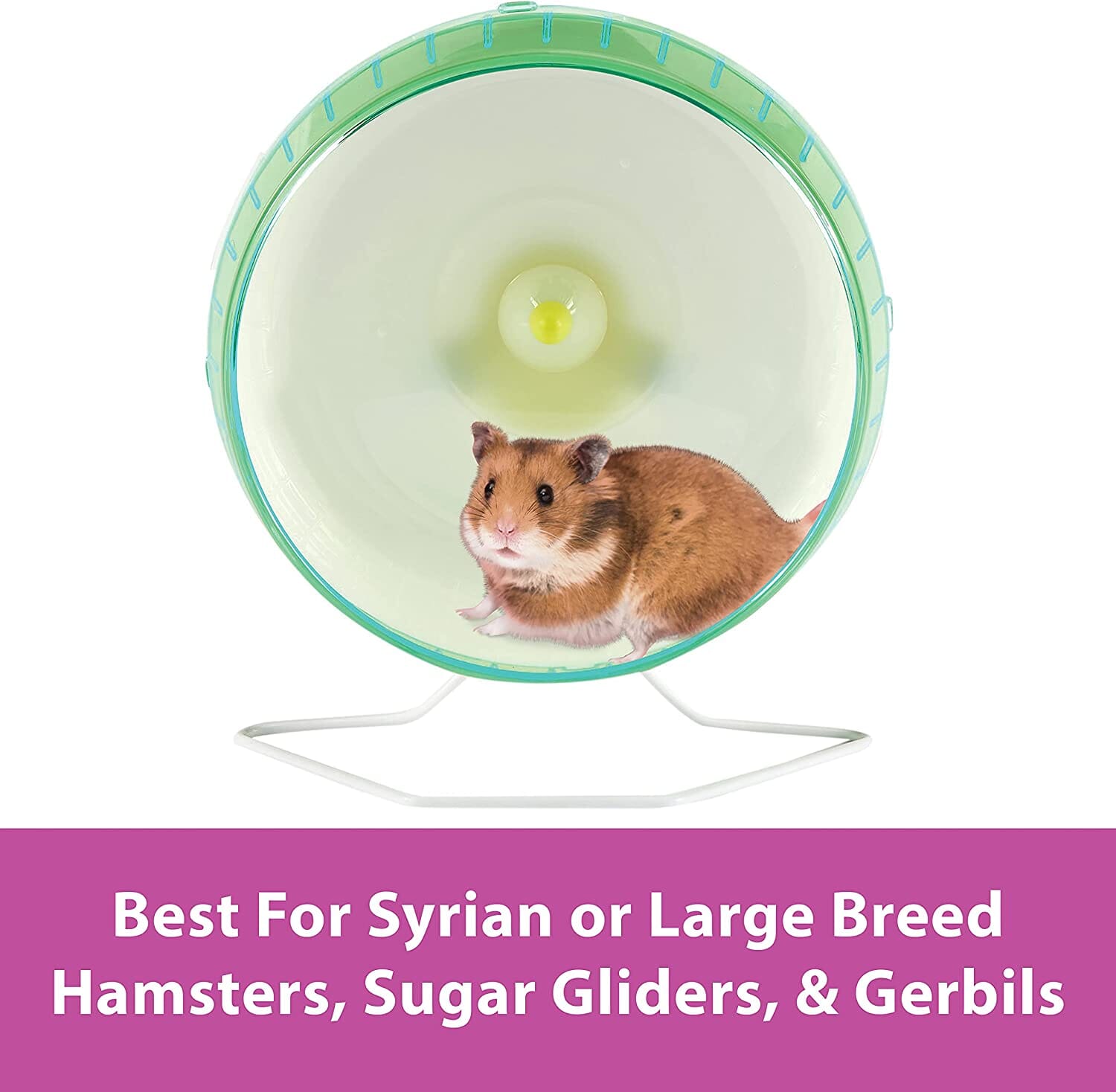 Kaytee Silent Spinner Wheel Assorted - 10 in