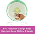Kaytee Silent Spinner Wheel Assorted - 10 in