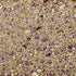 Kaytee Soft Granule Lavender Blend - 27.5 l  