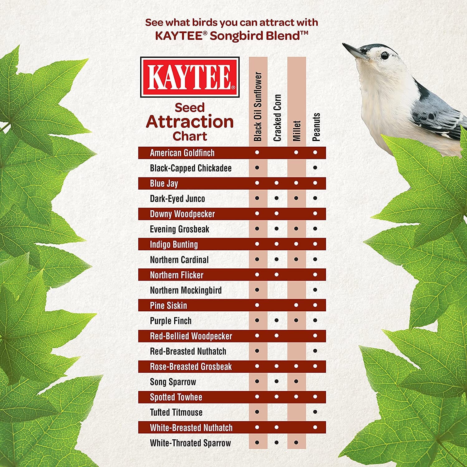 Kaytee Songbird Blend Food Bag - 5 lb