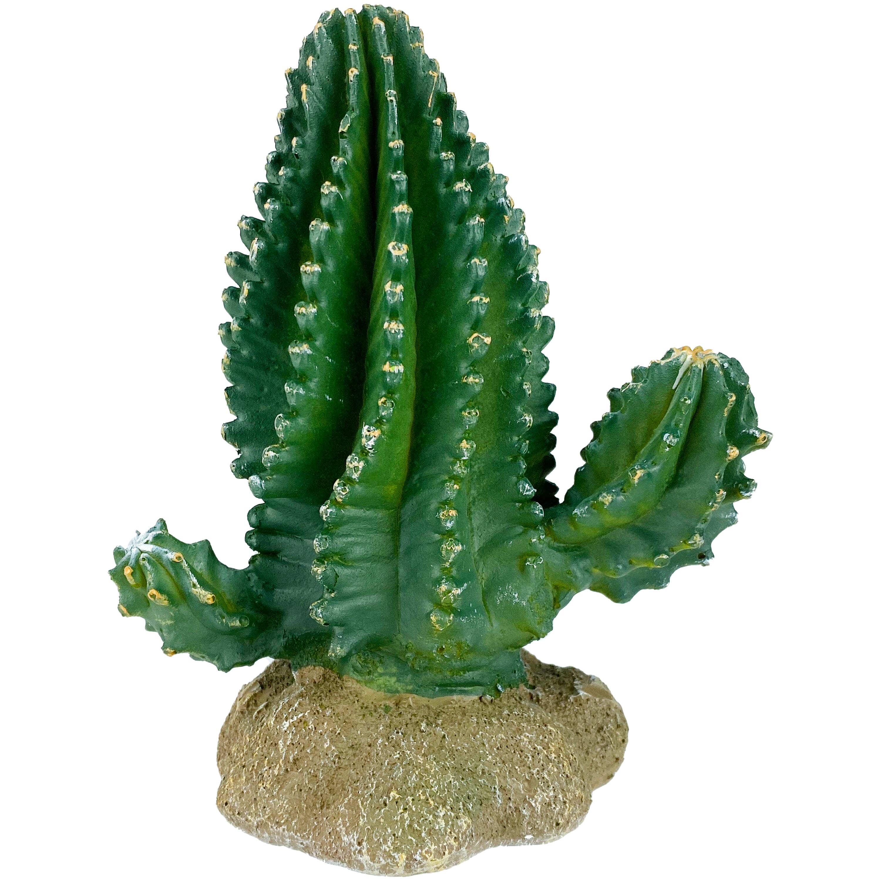 Komodo Cactus Plant Columnar - 5.9 in
