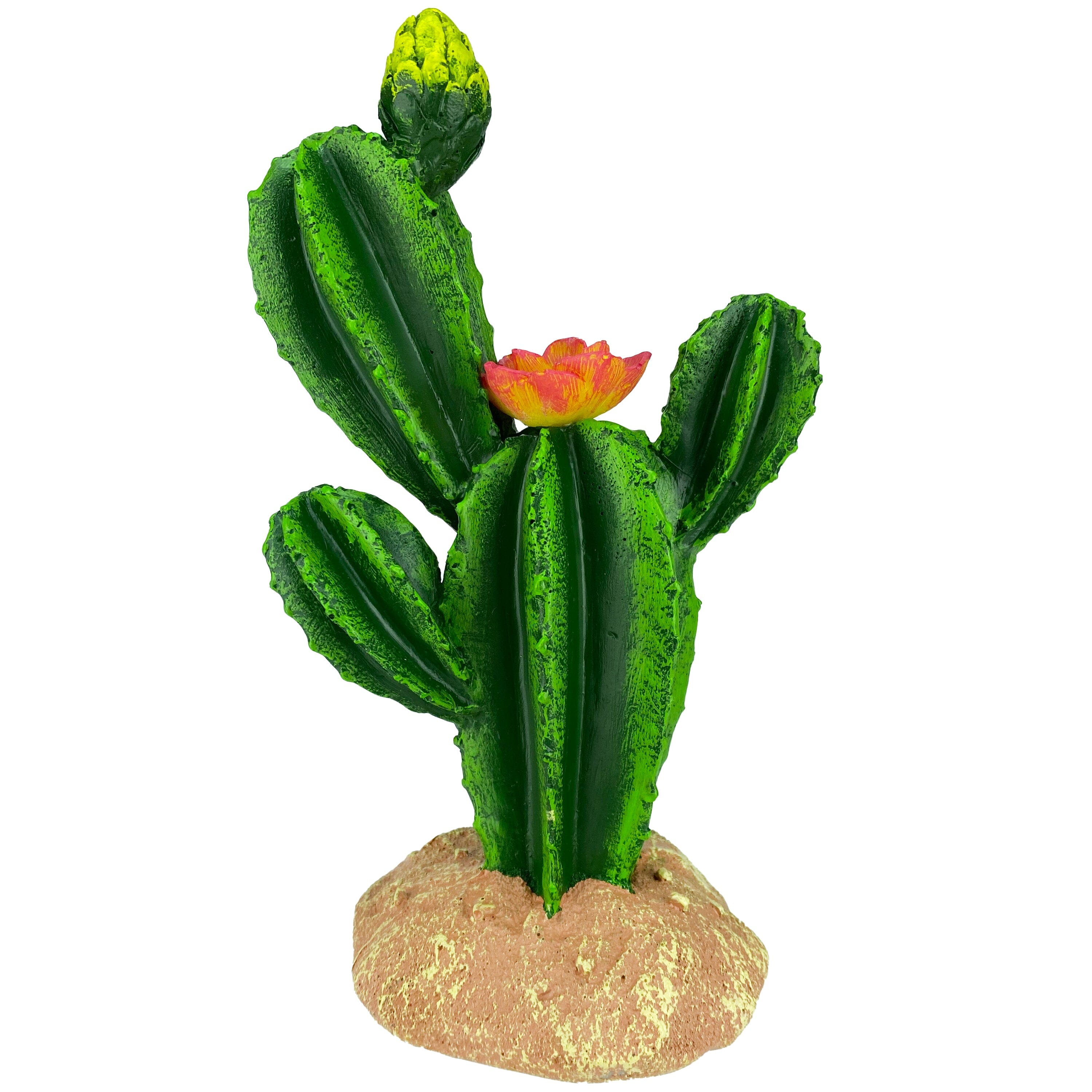 Komodo Cactus Plant Flower - 9 in