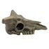 Komodo Deer Skull Reptile Hideout - Gray - One Size