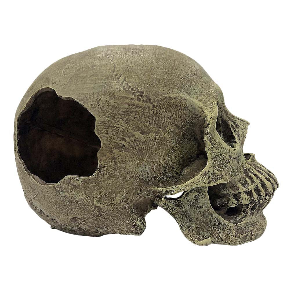 Komodo Full Human Skull Reptile Hideout - Gray - One Size