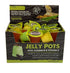 Komodo Jelly Pots Insect Food Fruit Flavor Display - 0.56 Oz - 40 Count