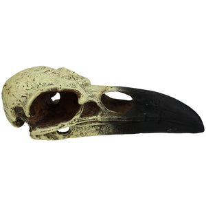 Komodo Raven Skull Hideout - 18 in - Large