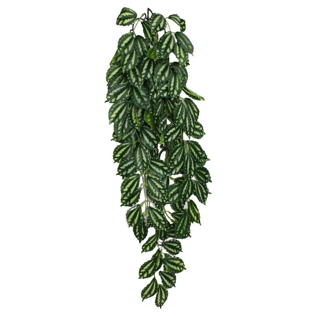 Komodo Two-Toned Leaf Hanging Plant - Large - 26 in  