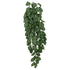 Komodo Two-Toned Leaf Hanging Plant - Large - 26 in  