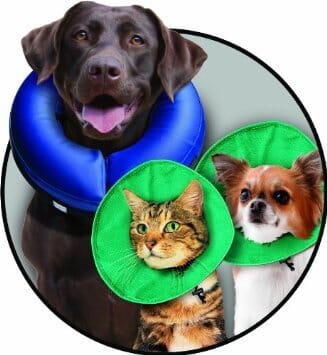 Kong EZ Soft Cone Safety E-Collar for Cats and Dogs - Extra Small  