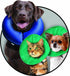 Kong EZ Soft Cone Safety E-Collar for Cats and Dogs - Extra Small  