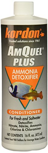 Kordon Amquel Plus - 16 fl oz