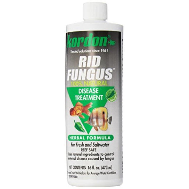 Kordon Rid Fungus - 16 fl oz