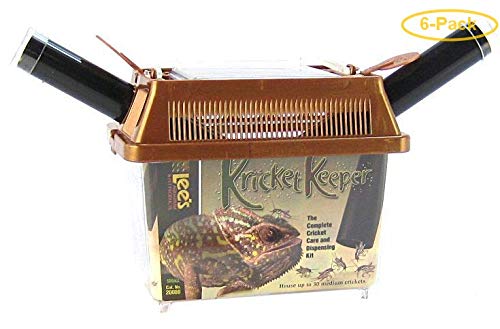 Cricket Keeper, Tools for Feeding and Drinking, Tools