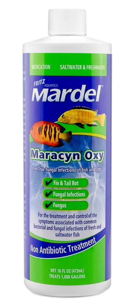 Mardel Maracyn Oxy Antifungal Medication - 16 fl Oz
