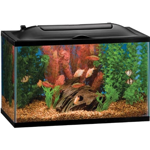 Marineland Bio-Wheel LED Aquarium Kit Aquatics Starter Kits - 10 Gal - 20 X 10 X 12