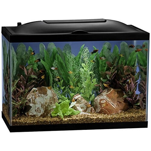 Marineland Bio-Wheel LED Aquarium Kit Aquatics Starter Kits - 20 Gal - 24 X 12 X 16
