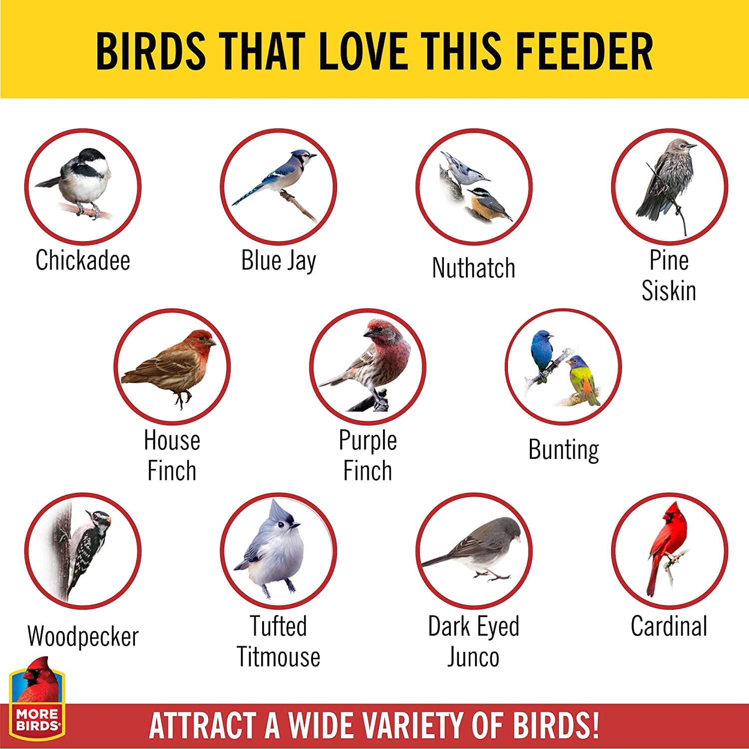 More Birds Combo Sunflower or Thistle Wild Bird Feeder - Copper - 11 Lb Cap