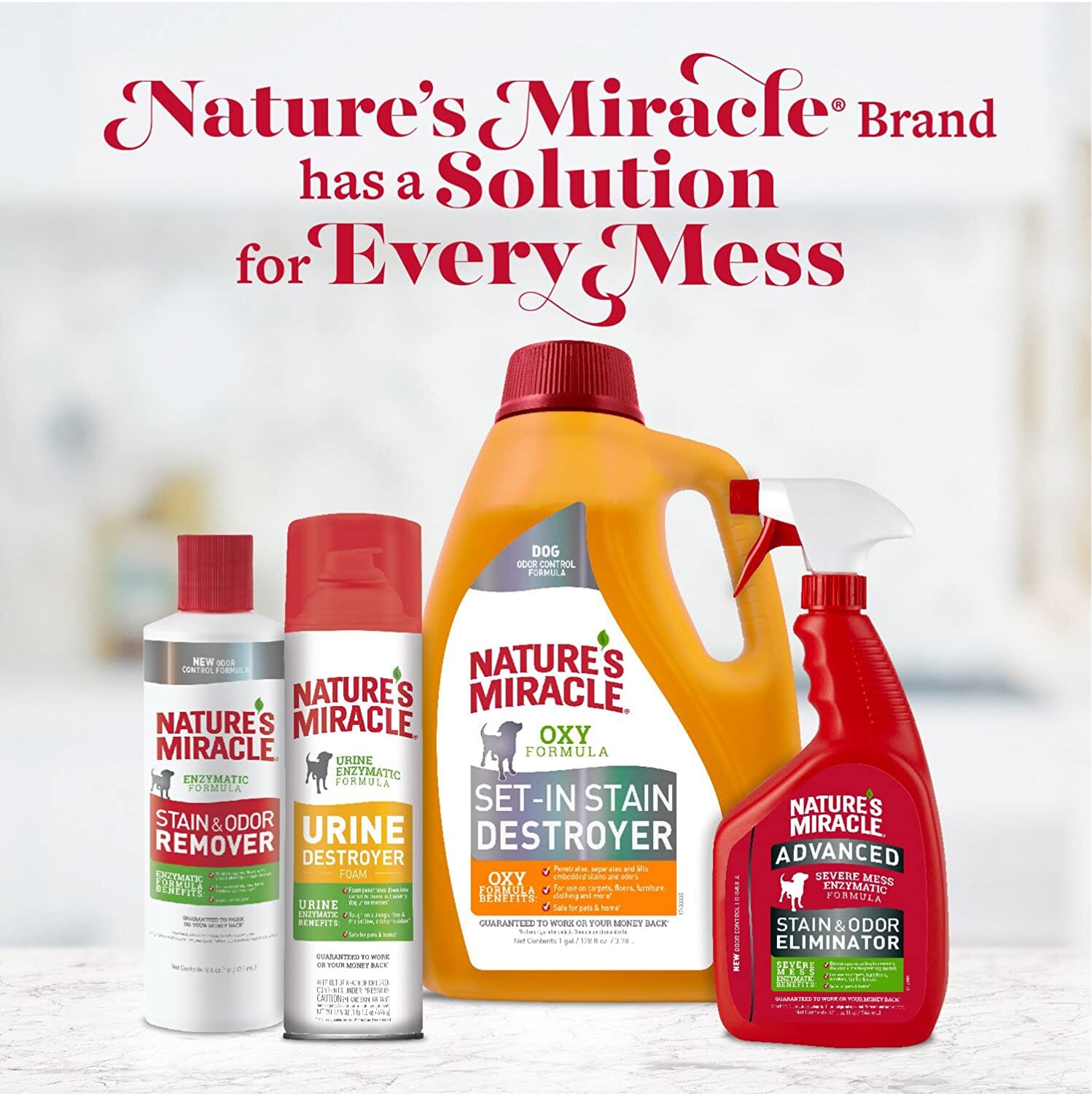 Nature's Mircale Pour Stain & Odor Remover for Dogs - 1.5 Gal