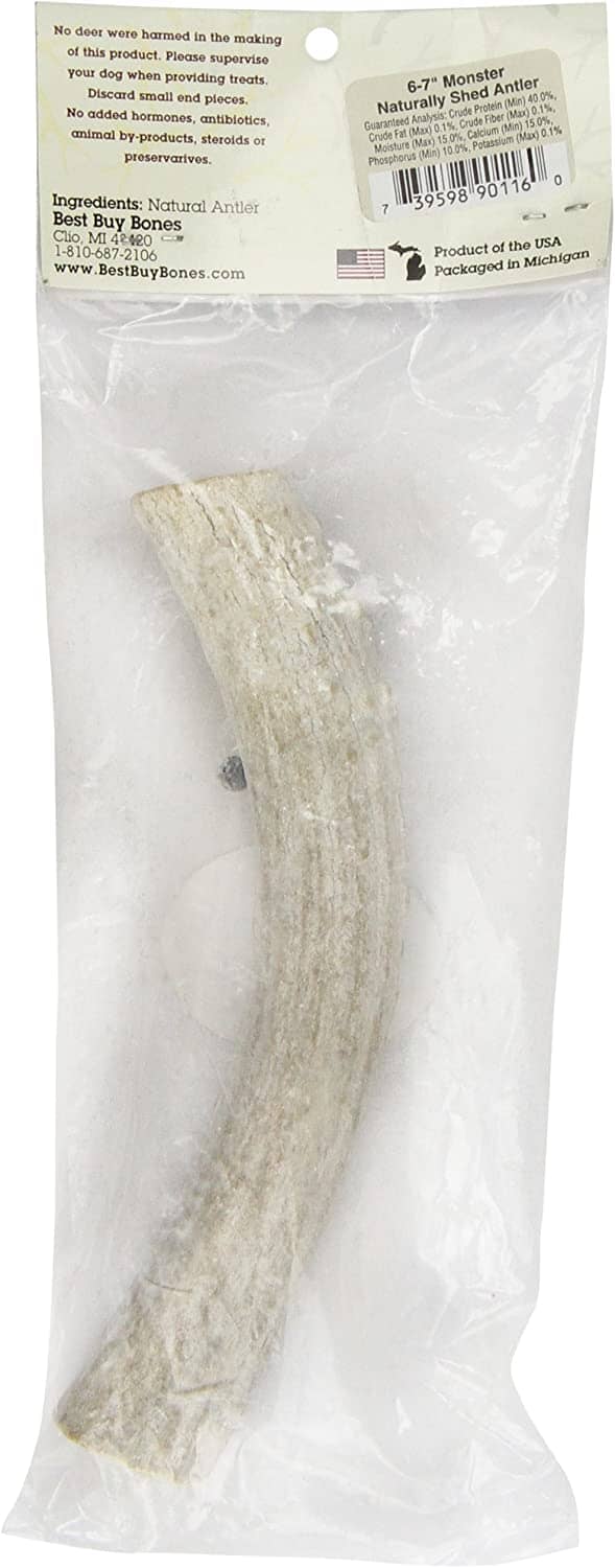 Nature's Own USA Elk Antler Natural Dog Chews - Natural - 6 - 7 In - Monster