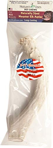 Nature's Own USA Elk Antler Natural Dog Chews - Natural - 9 - 11 In - Monster