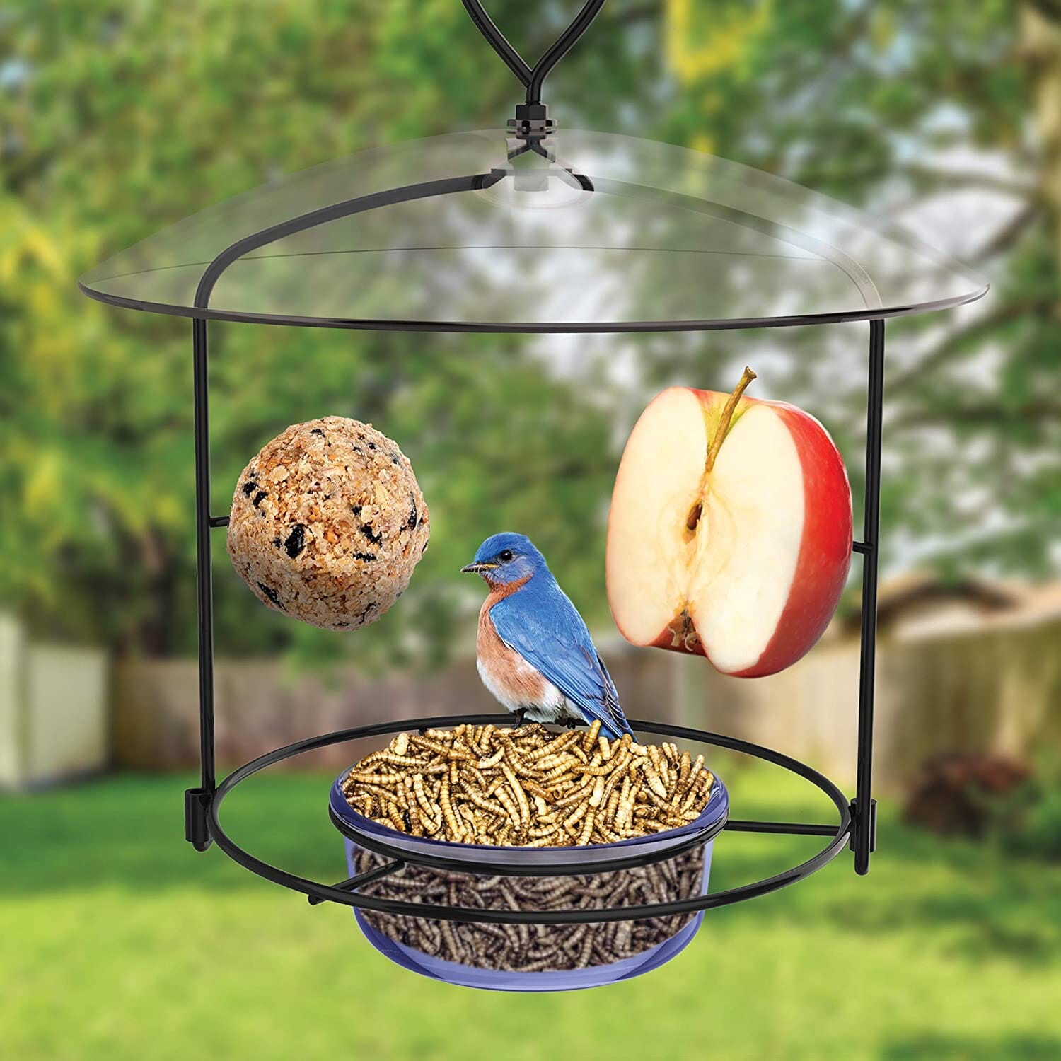 Nature's Way Bluebird Buffet Wild Bird Feeder - Blue - 6 Oz Cap