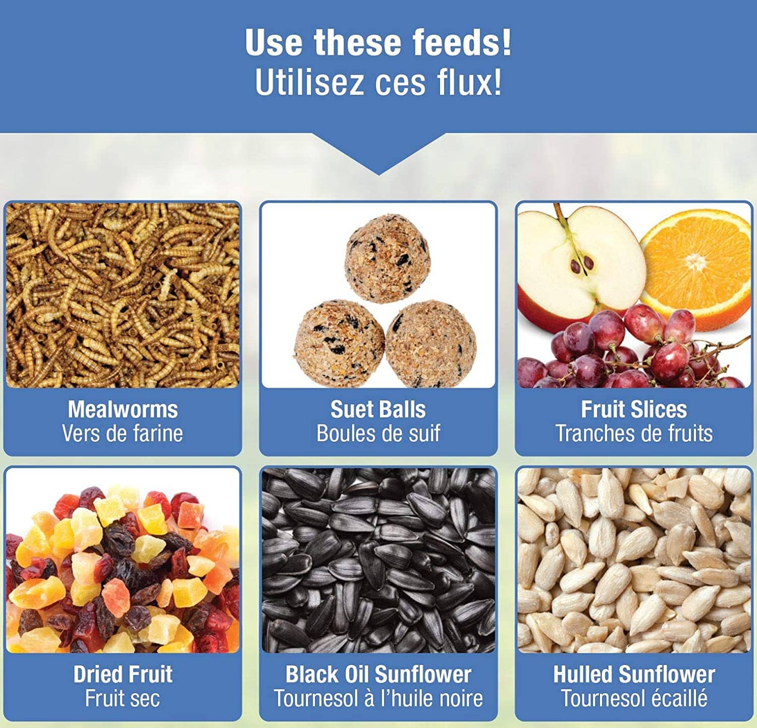 Nature's Way Bluebird Buffet Wild Bird Feeder - Blue - 6 Oz Cap