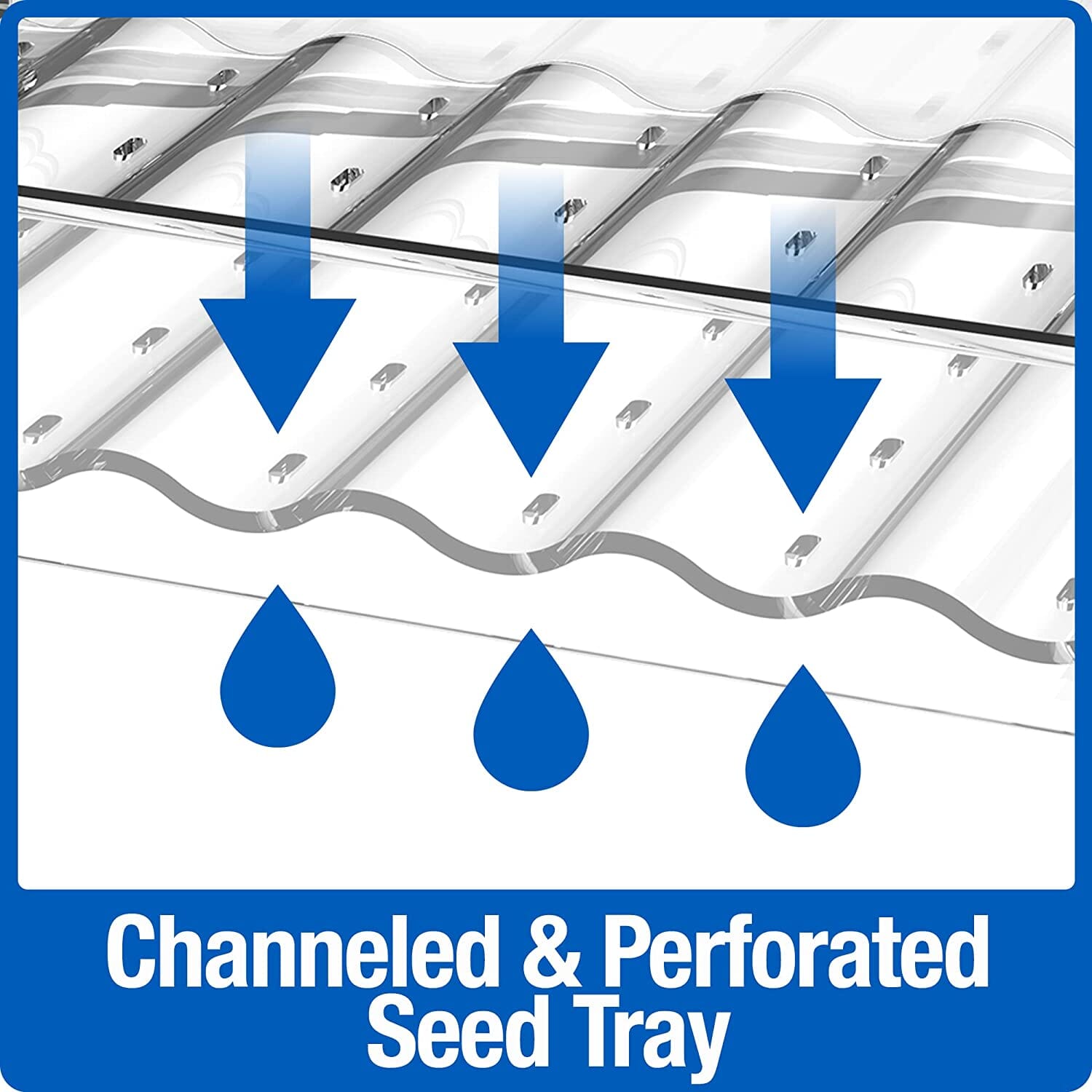 Nature's Way Clear View Window Seed Wild Bird Feeder - Clear - 16 Oz Cap