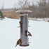 Nature's Way Deluxe Wide Funnel Flip-Top Tube Tubed Wild Bird Feeder - 2.8 Qt Cap