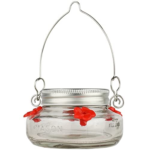Nature's Way Mason Jar Hummingbird Feeder Pdq - Clear - 6 Oz Cap - 6 Pack