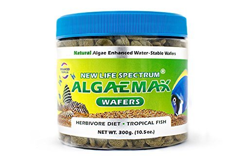 New Life Spectrum Algaemax Wafers - 12 mm Sinking Wafers - 300 g